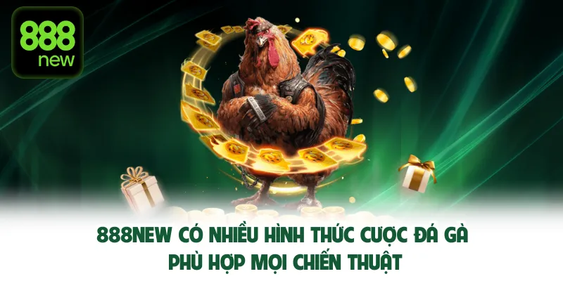 Đá Gà 888NEW có nhiều hình thức cược đá gà phù hợp mọi chiến thuật.